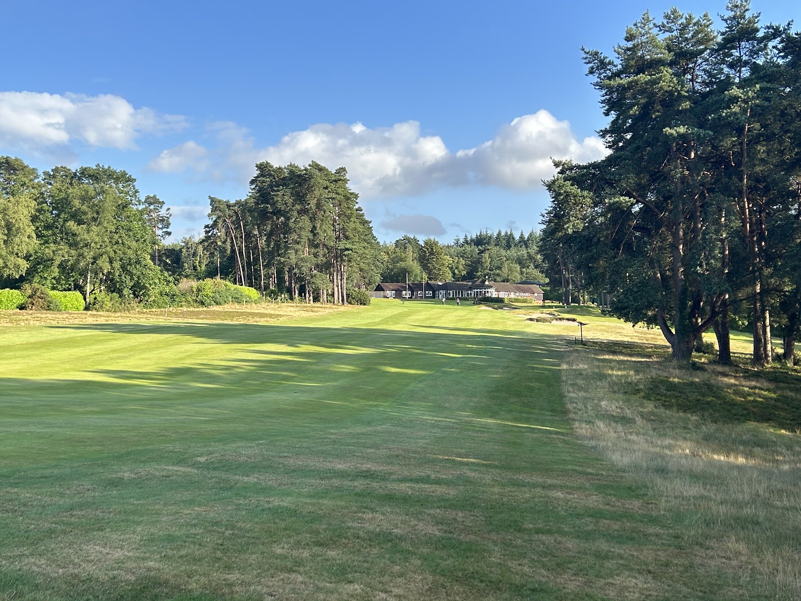 Liphook Golf Club, heathland fairways in Hampshire, England