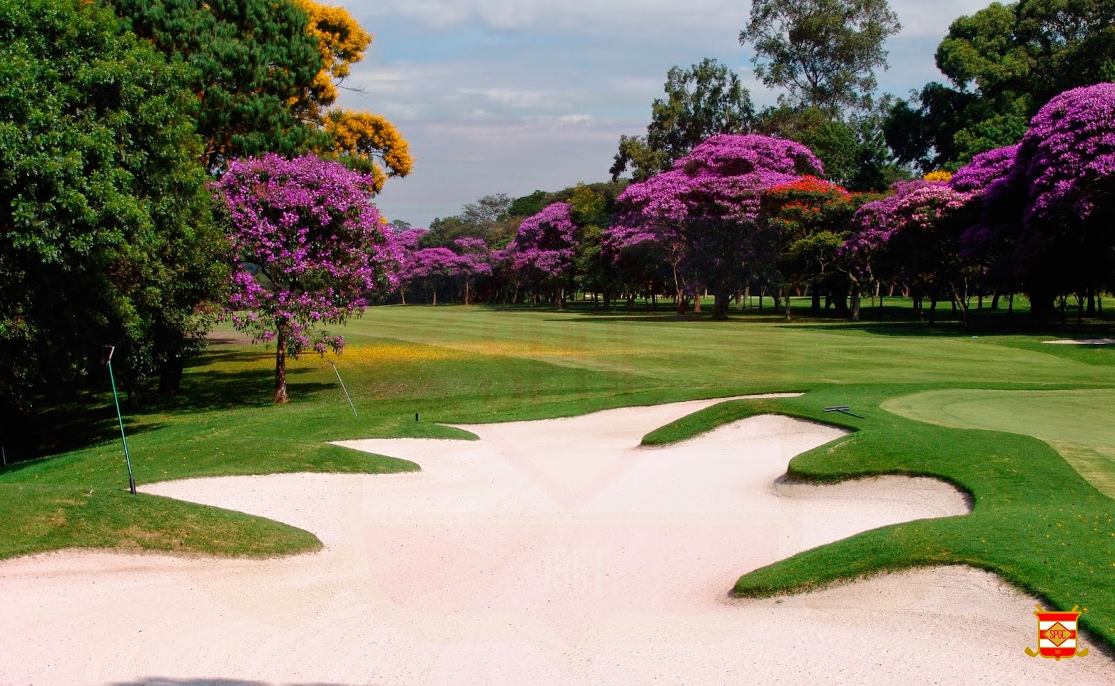 Sao Paulo Golf Club fairway with the Serra do Mar beyond, Sao Paulo, Brazil