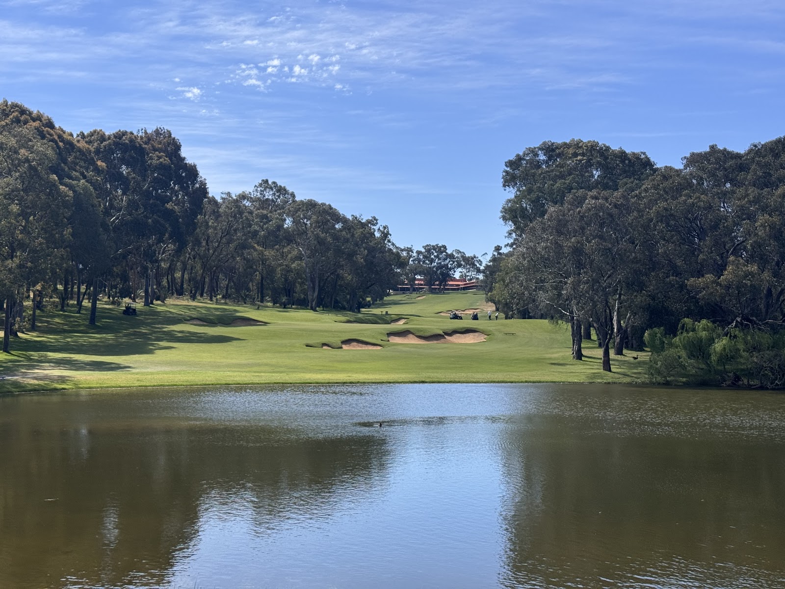 Bushland fairways at Lake Karrinyup Country Club, the leading golf course in Perth, Western Australia