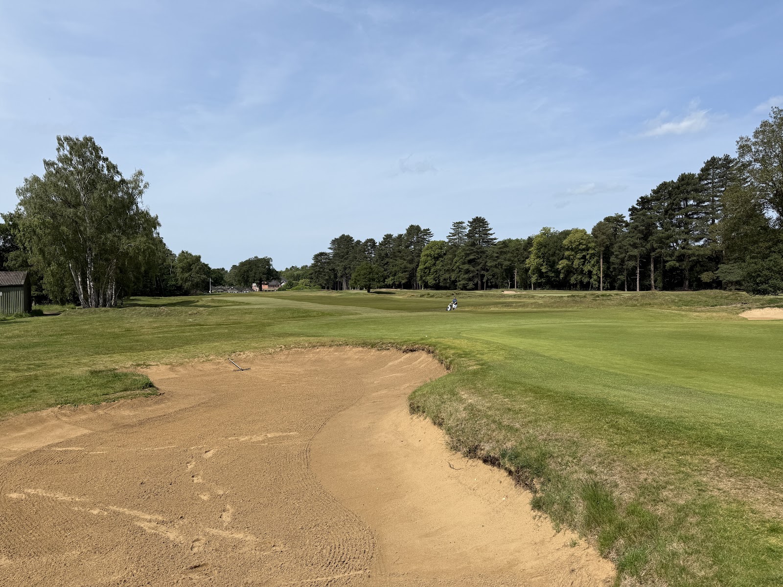Woodhall Spa Hotchkin Course, deep heathland bunkers in Lincolnshire