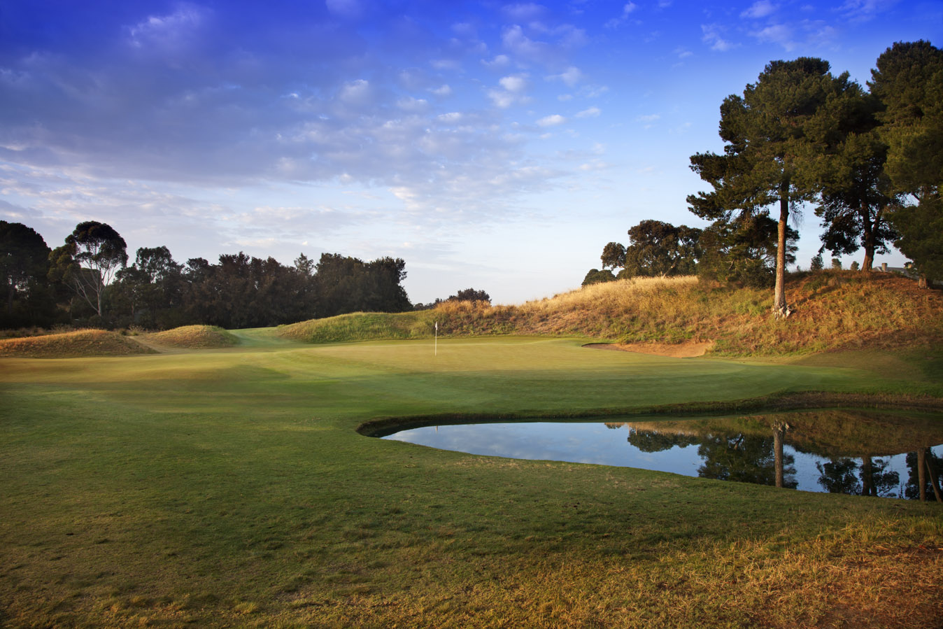 Kooyonga Golf Club, sandy parkland fairway framed by tea tree and bunkering on the Adelaide plain, South Australia