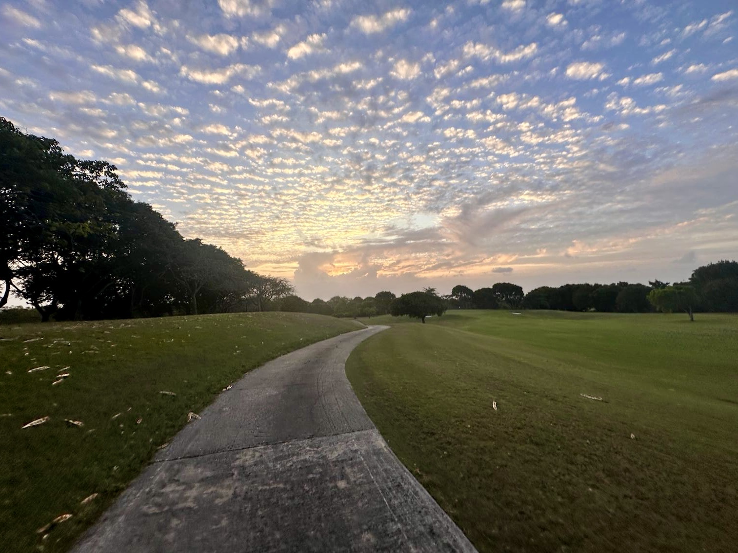 The Green Monkey Golf Course at Sandy Lane, the Tom Fazio layout carved into a limestone quarry in Saint James, Barbados