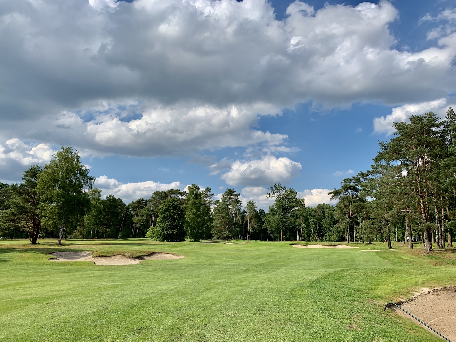 Royal Antwerp Golf Club, a flat heathland fairway framed by mature pine and birch in the Kapellenbos woods at Kapellen, Belgium