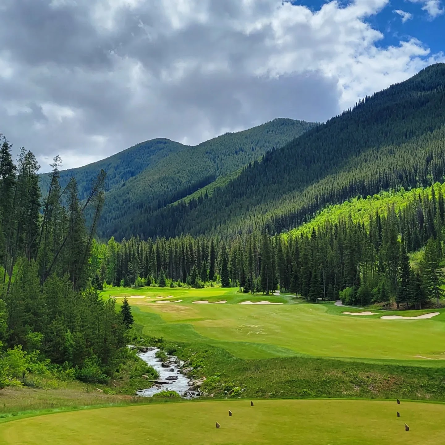 Greywolf Golf Course, mountain fairway below the Purcell peaks at Panorama, British Columbia, Canada