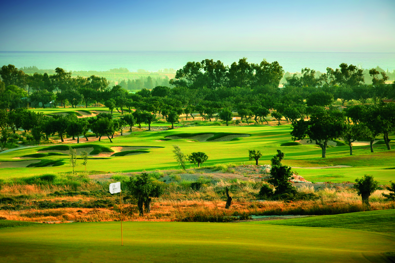 Elea Estate Golf Club, fairways through olive groves above the Mediterranean near Paphos, Cyprus
