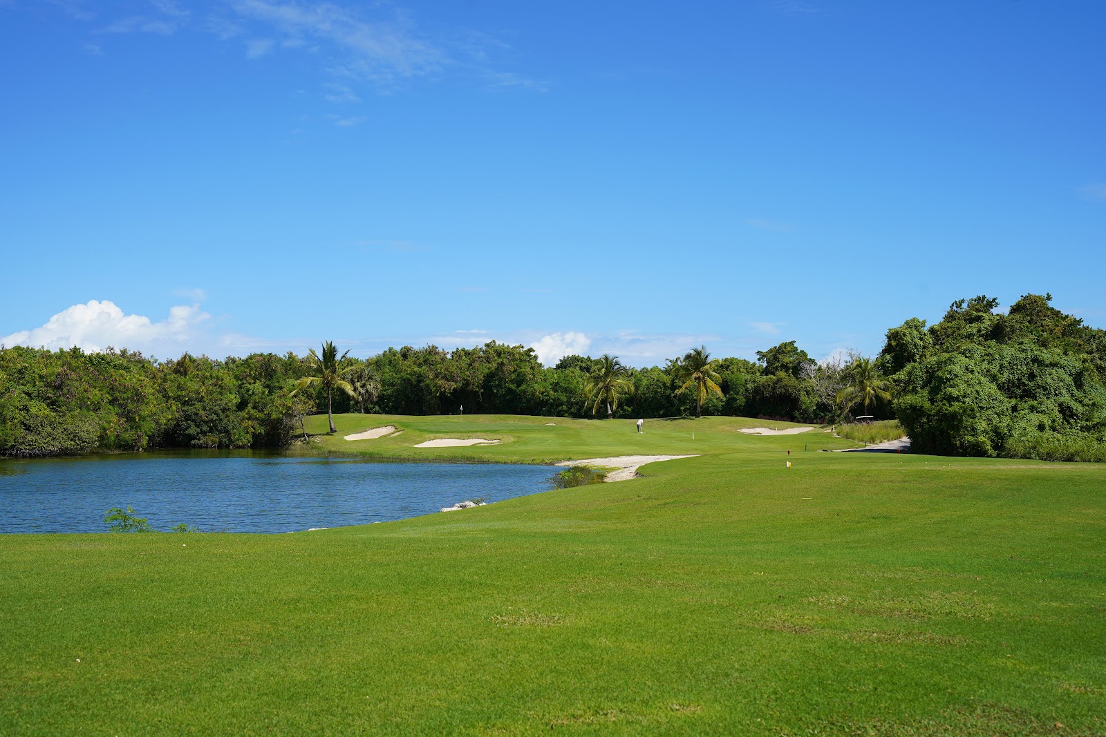Hard Rock Golf Club at Cana Bay, a Jack Nicklaus hole with water hazards near Punta Cana, Dominican Republic
