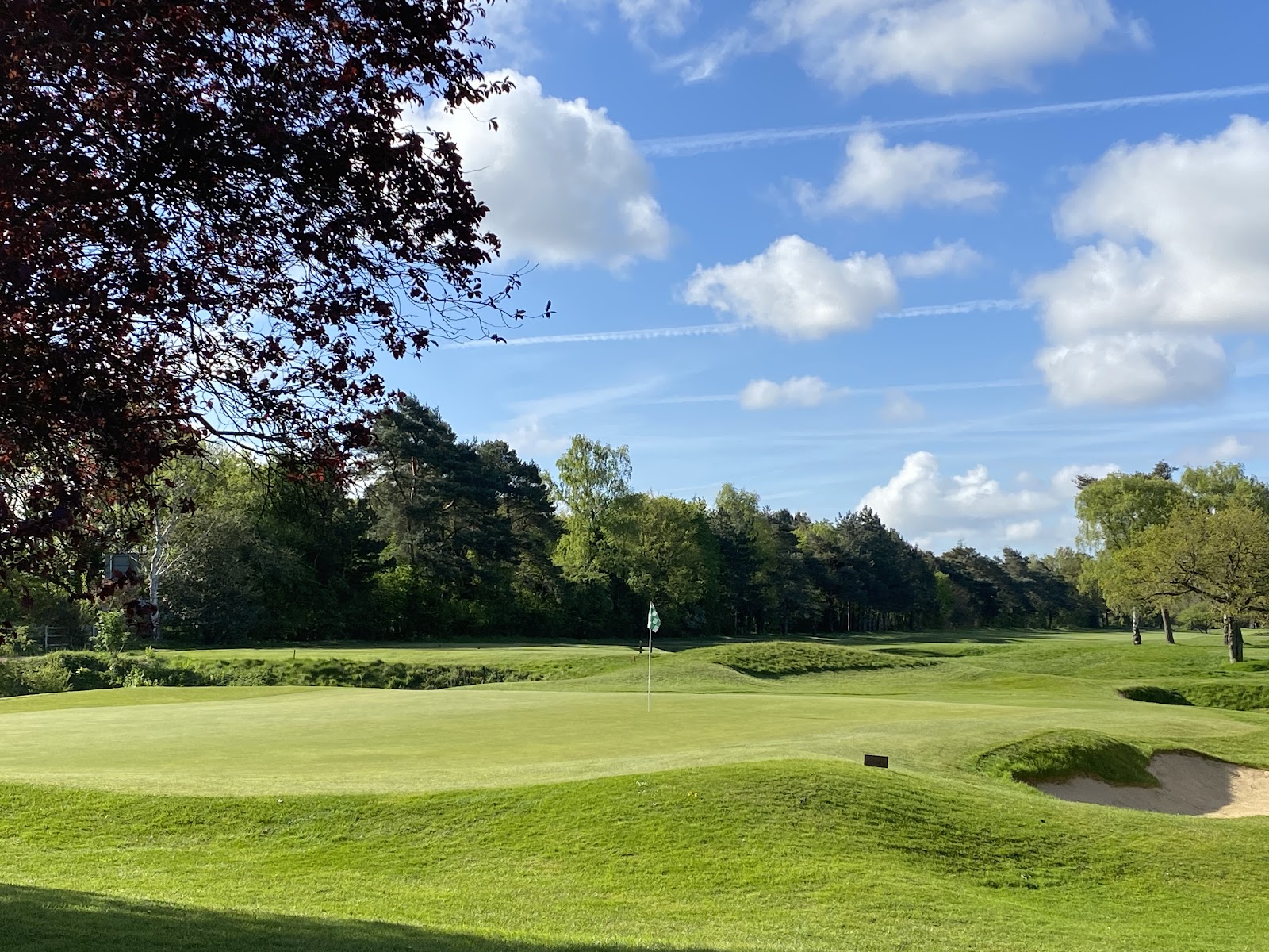 Frilford Heath Golf Club Green Course, heathland fairway lined with heather and silver birch in Oxfordshire, England