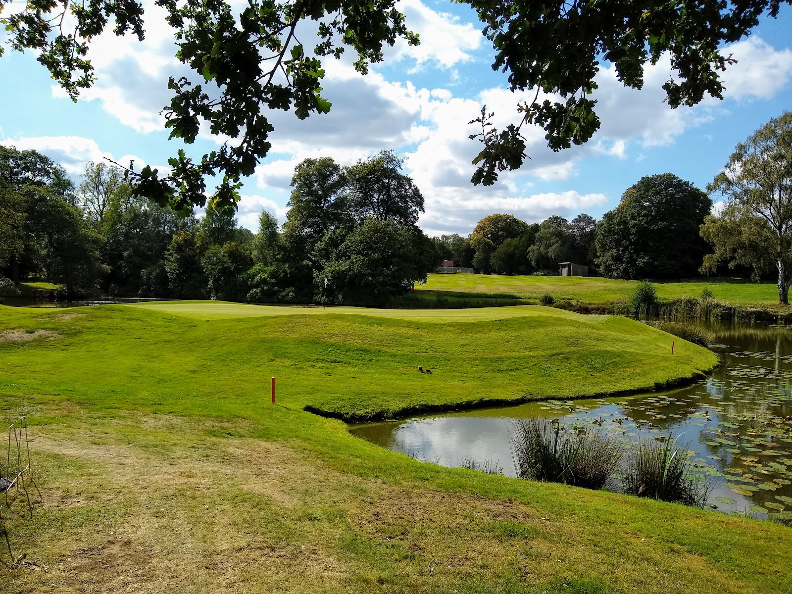 Little Aston Golf Club, mature parkland fairway lined with old estate trees near Sutton Coldfield in the West Midlands, England
