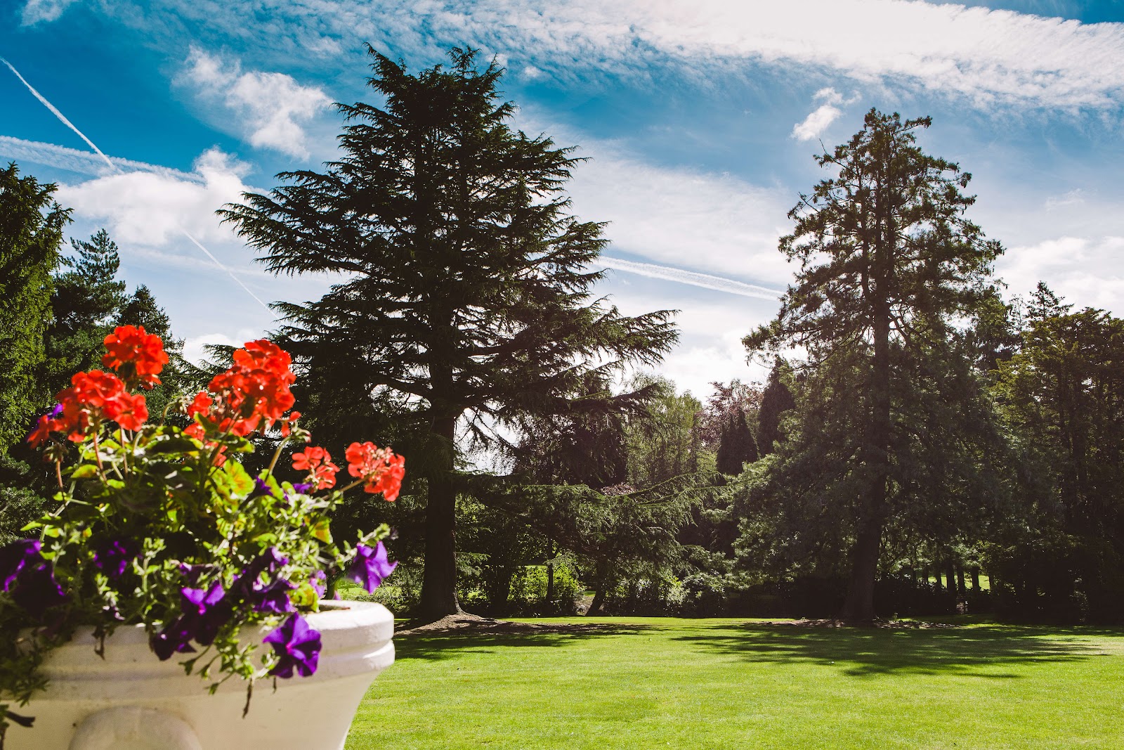 Mottram Hall, parkland fairway framed by mature oak and beech in the Cheshire countryside, England
