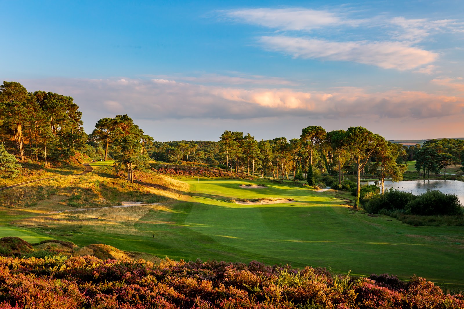 Parkstone Golf Club, heathland fairway lined with pine and heather above Poole Harbour in Dorset, England