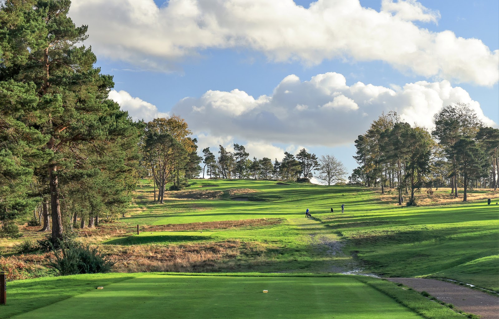 The Addington Golf Club, heathland fairway crossing a heather valley in Croydon, Surrey, England