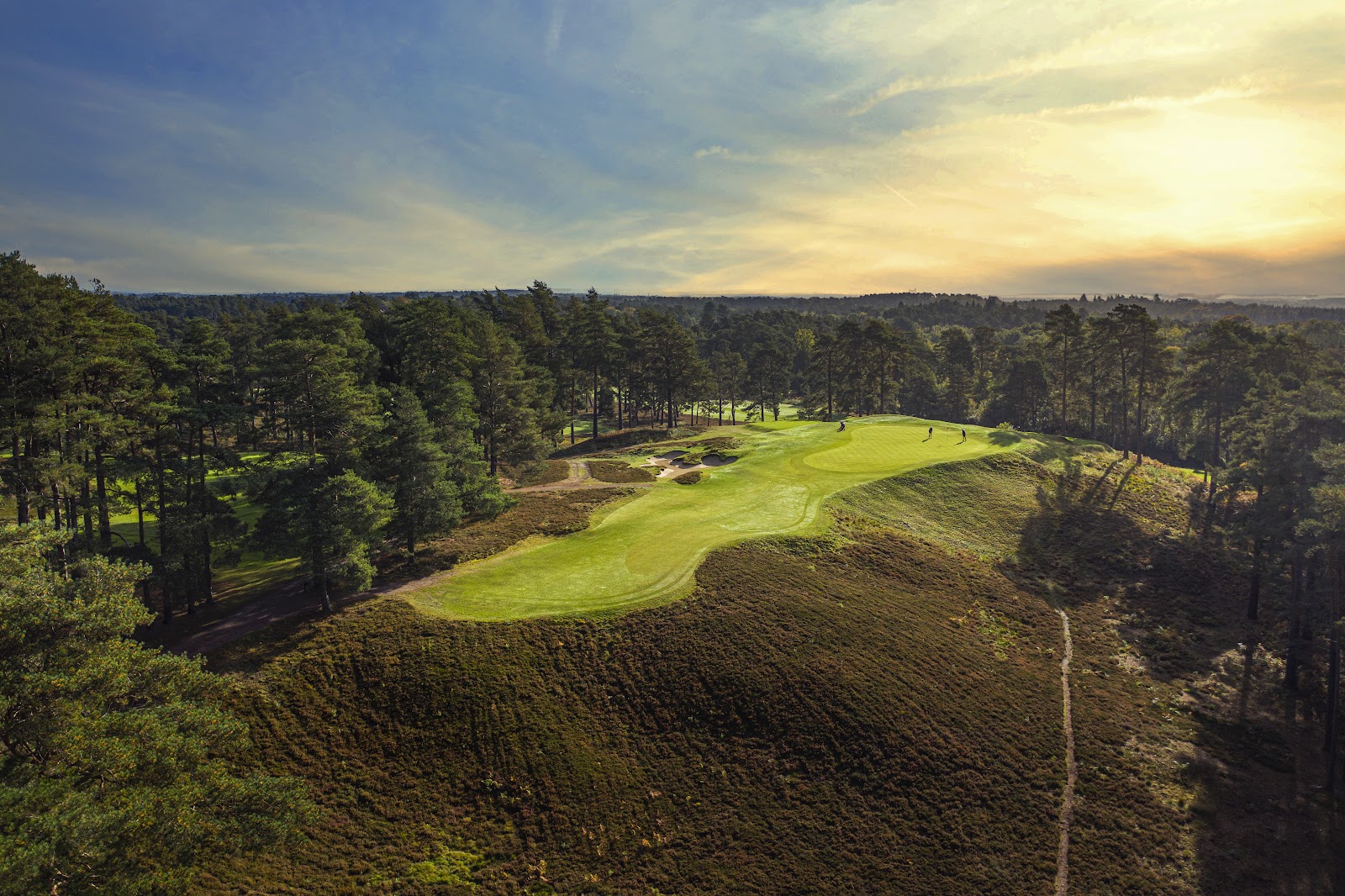 The Berkshire Golf Club Red Course, a heathland fairway framed by pine and heather near Ascot