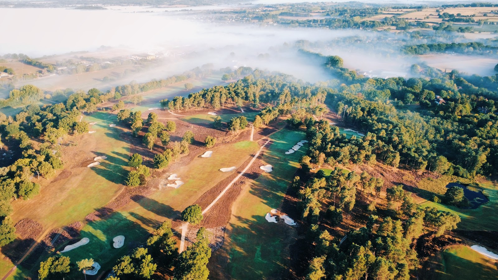 West Sussex Golf Club, heather and pine framing a heathland fairway at Pulborough, West Sussex, England