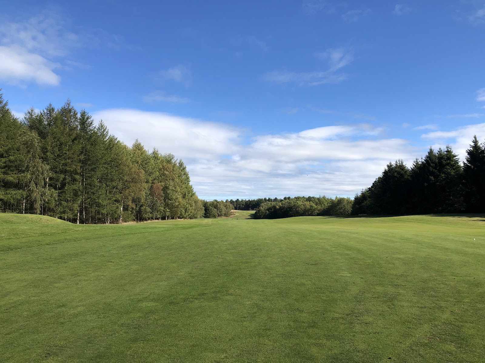 Woburn Golf Club Duchess Course, tree lined fairway through Buckinghamshire woodland, England