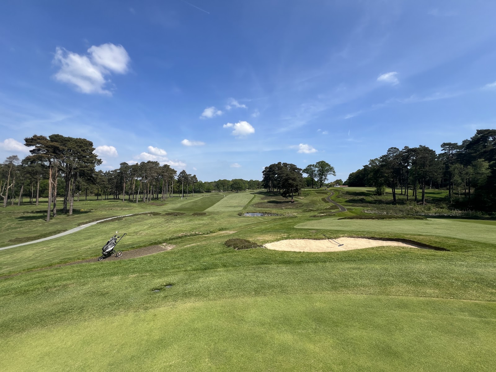 Woking Golf Club, heather and Scots pine framing a heathland fairway in Surrey, England