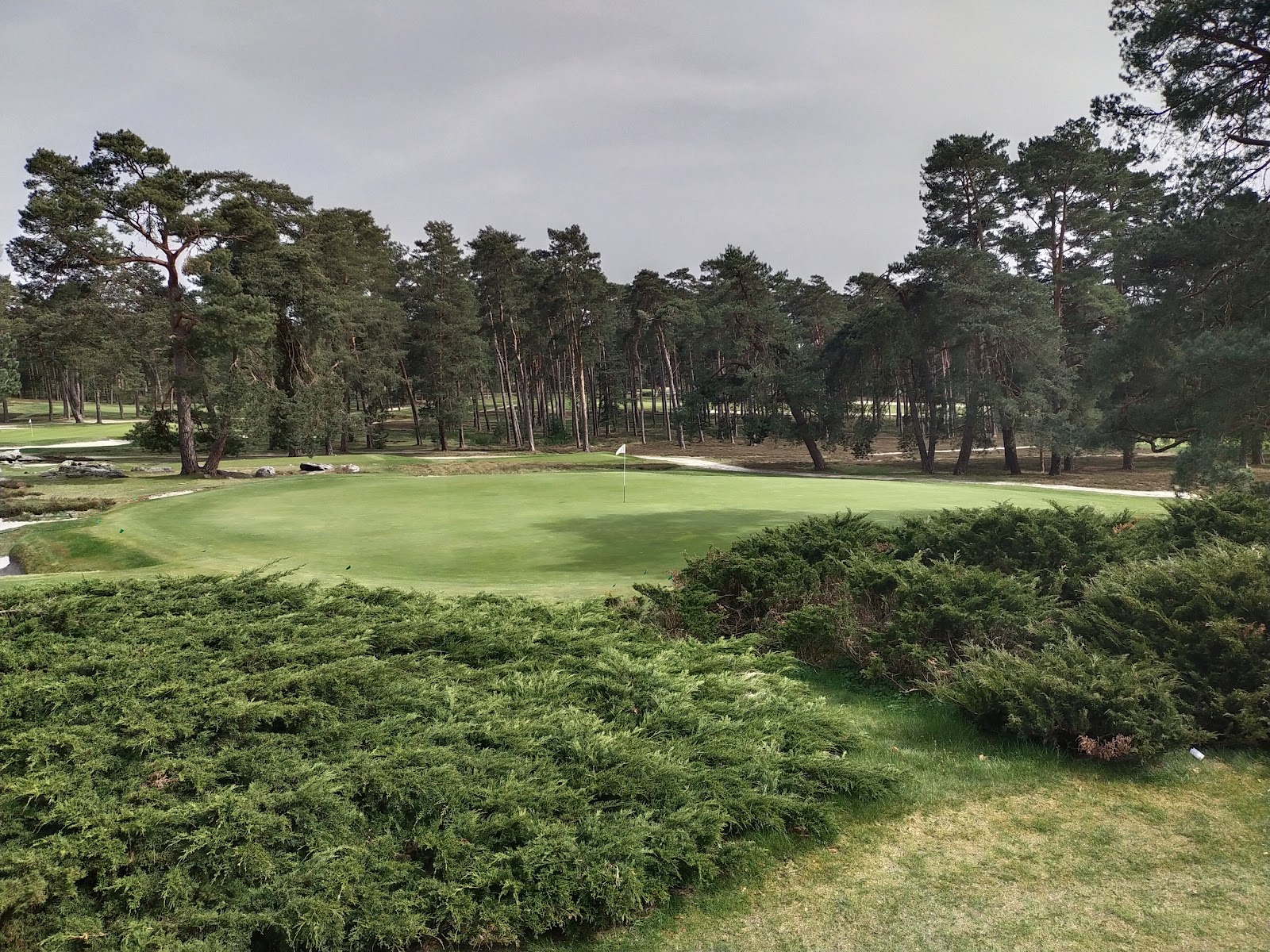Golf de Morfontaine, heathland and pine forest fairways north of Paris