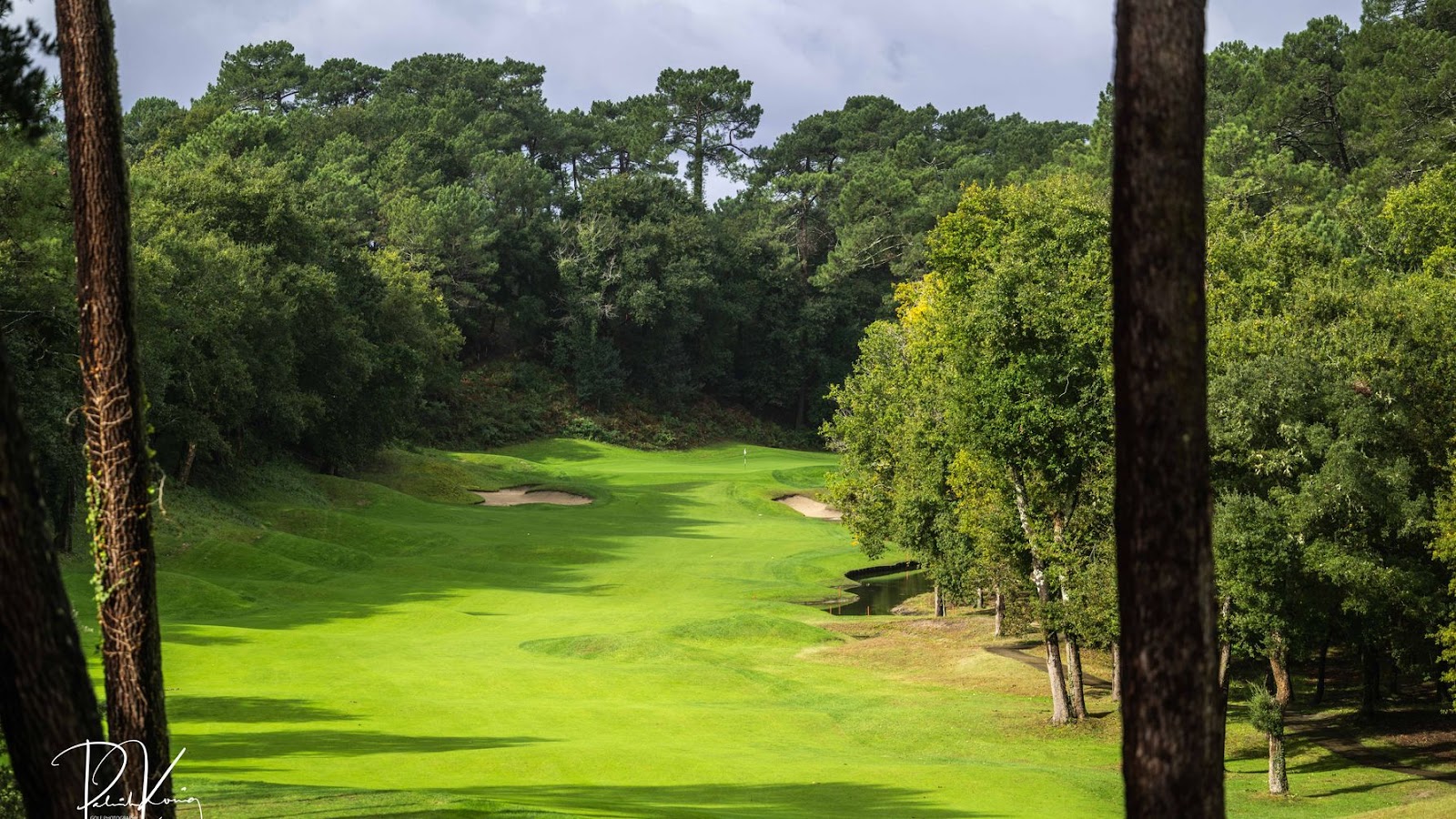 Golf de Seignosse, fairway framed by tall pines on the Landes coast near Hossegor, southwest France