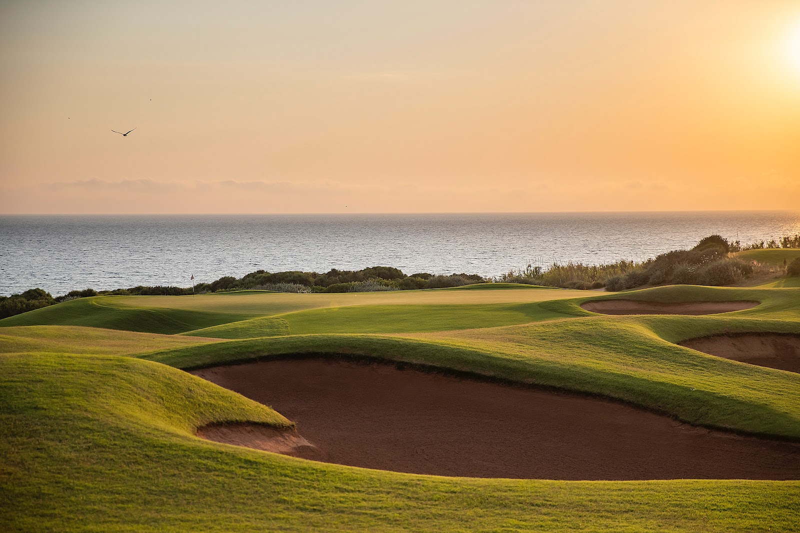 The Dunes Course at Costa Navarino, a coastal fairway among olive groves by the Ionian Sea in Messinia