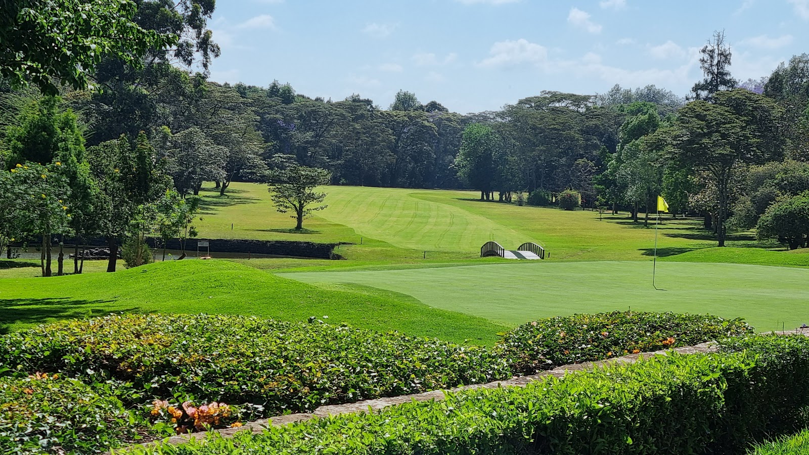 Karen Country Club, highland parkland fairway and grass greens on Karen Blixen's old estate near Nairobi, Kenya