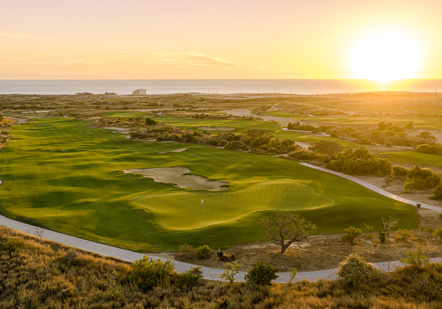 El Cardonal at Diamante, Cabo San Lucas, a desert fairway framed by cardon cactus and dunes