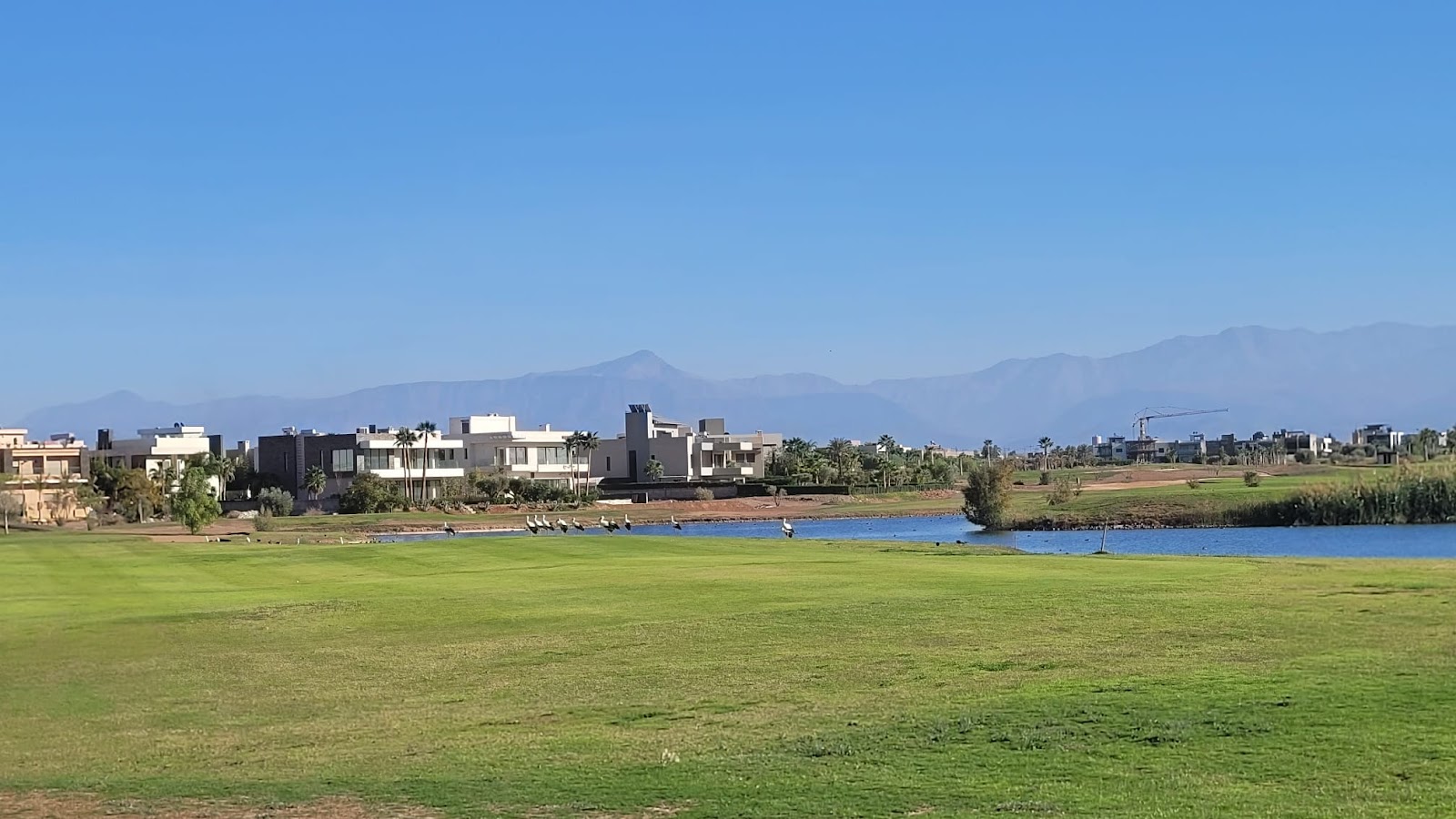 The Tony Jacklin Marrakech, fairway framed by bougainvillea with the Atlas Mountains beyond, Morocco