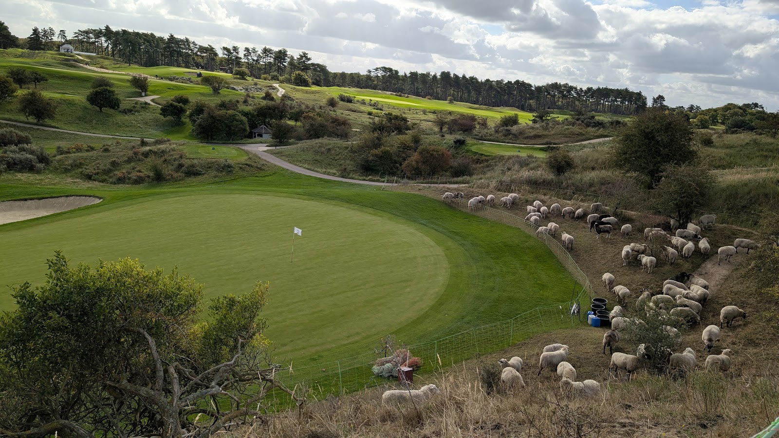 Koninklijke Haagsche Golf en Country Club, fairway through the coastal dunes at Wassenaar near The Hague