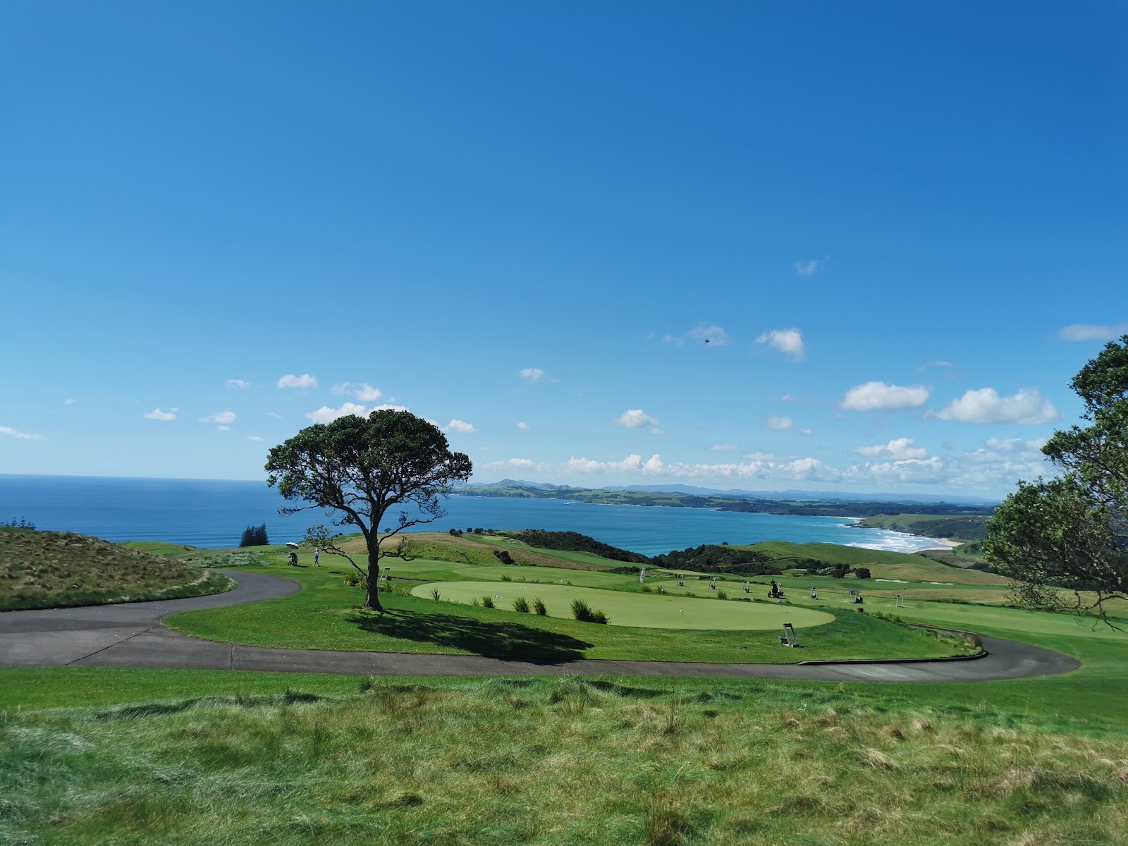 Kauri Cliffs Golf Course, clifftop fairways above the Pacific Ocean in Northland, New Zealand