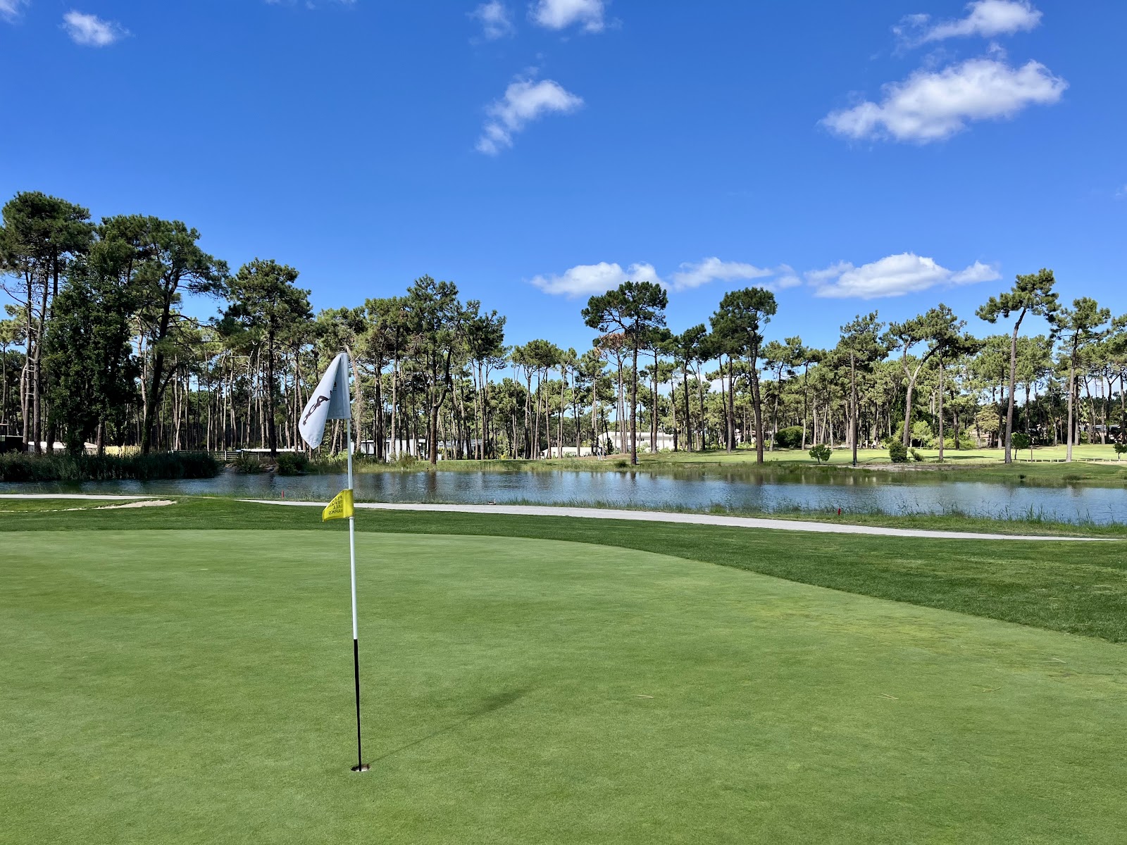 Aroeira Challenge, fairway lined with umbrella pines on the Costa da Caparica south of Lisbon, Portugal