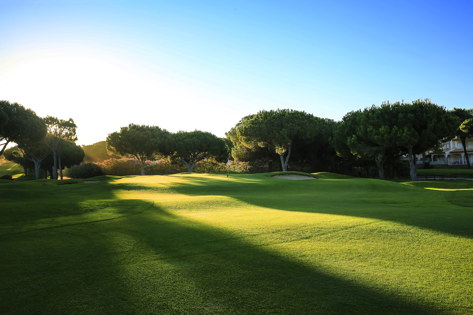 Dom Pedro Pinhal golf course framed by umbrella pines in Vilamoura, Algarve, Portugal