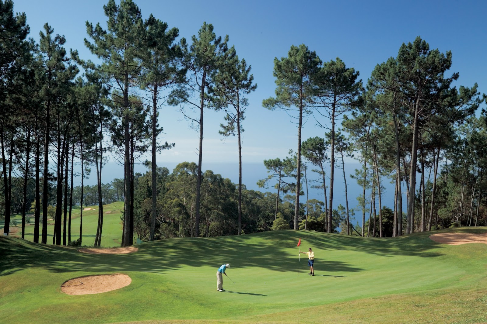 Palheiro Golf, mountainside fairways and pines above Funchal harbour on Madeira, Portugal