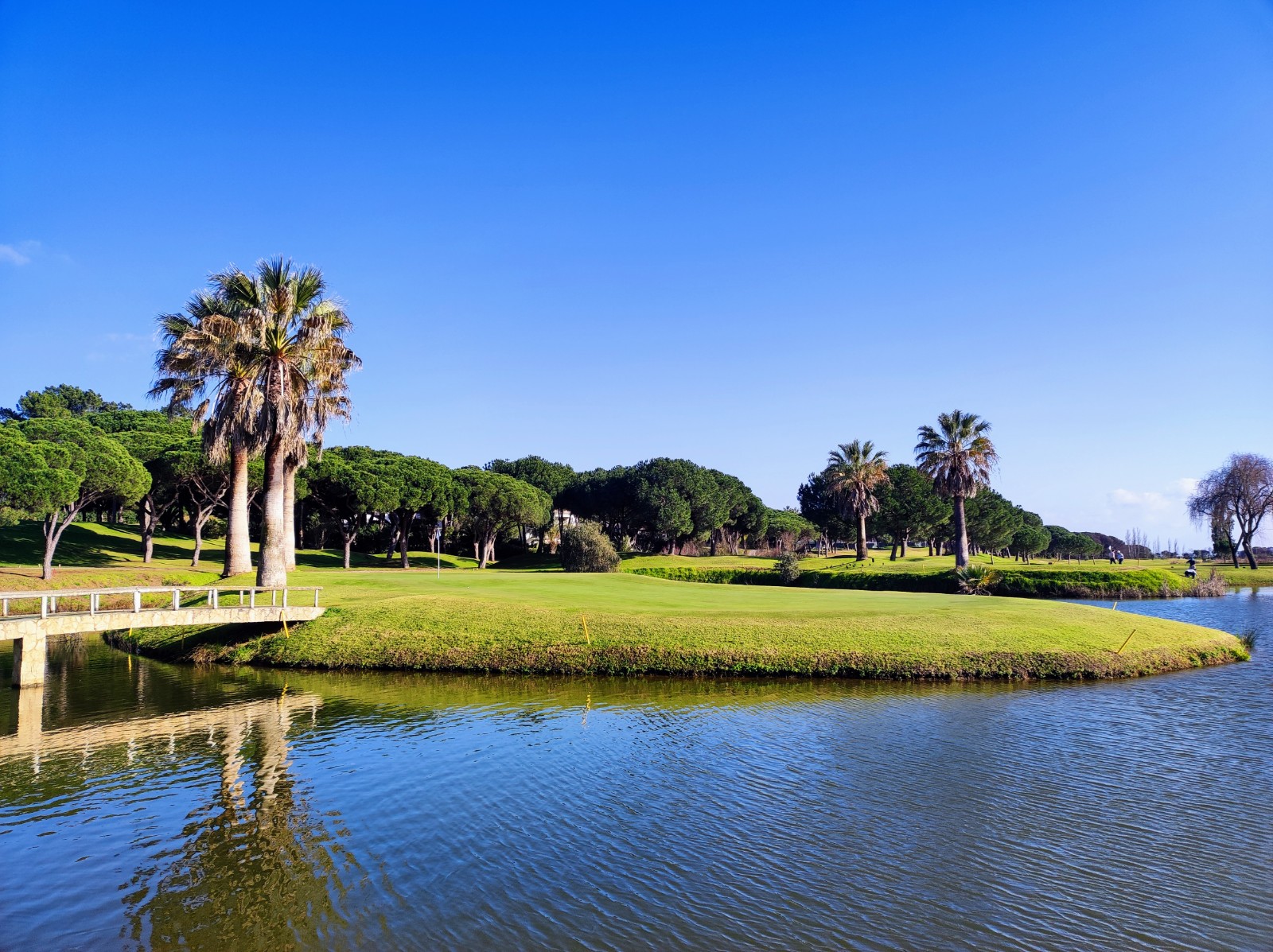 Pinheiros Altos Golf, a fairway among pine, cork oak and olive trees at Quinta do Lago, Algarve