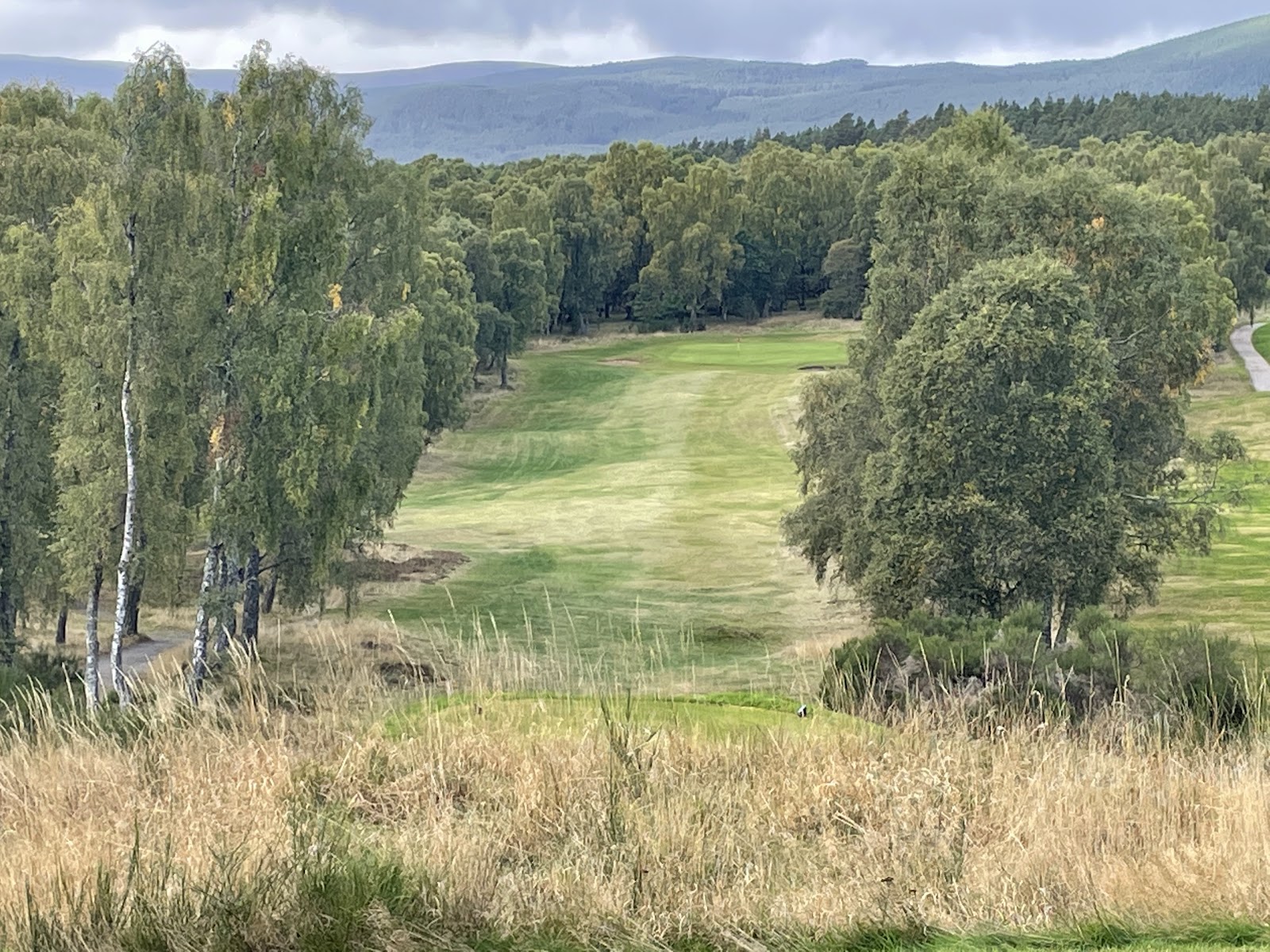Boat of Garten golf course, birch lined heathland fairways with the Cairngorm mountains beyond