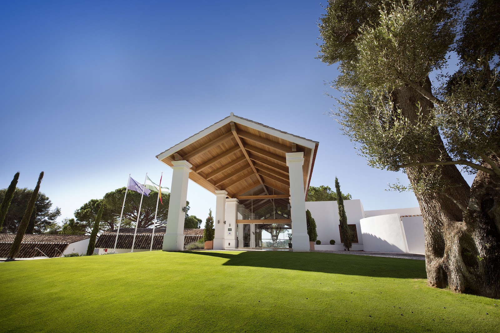 Aloha Golf Club, parkland fairway lined with pines below the La Concha mountain in Marbella