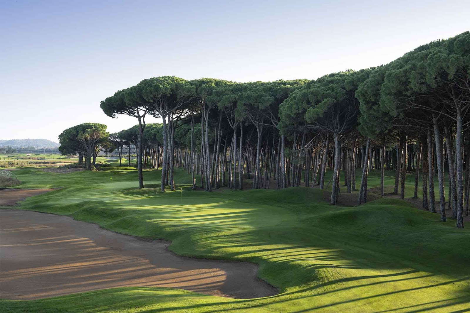 Emporda Golf Forest course, fairway threading through pine forest on the Costa Brava near Girona, Spain