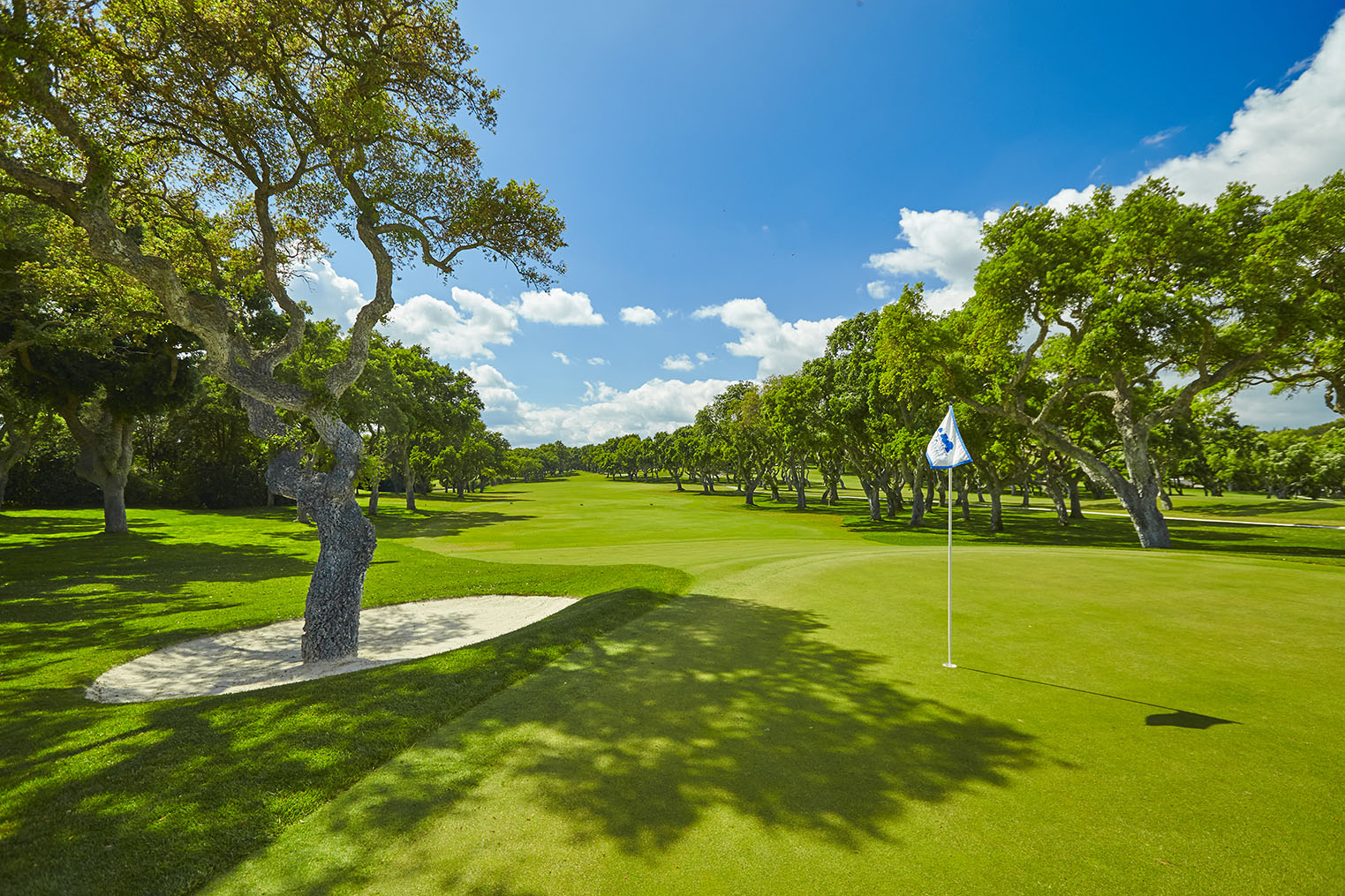 Valderrama in Sotogrande, cork oak lined fairways on Robert Trent Jones's championship par 71
