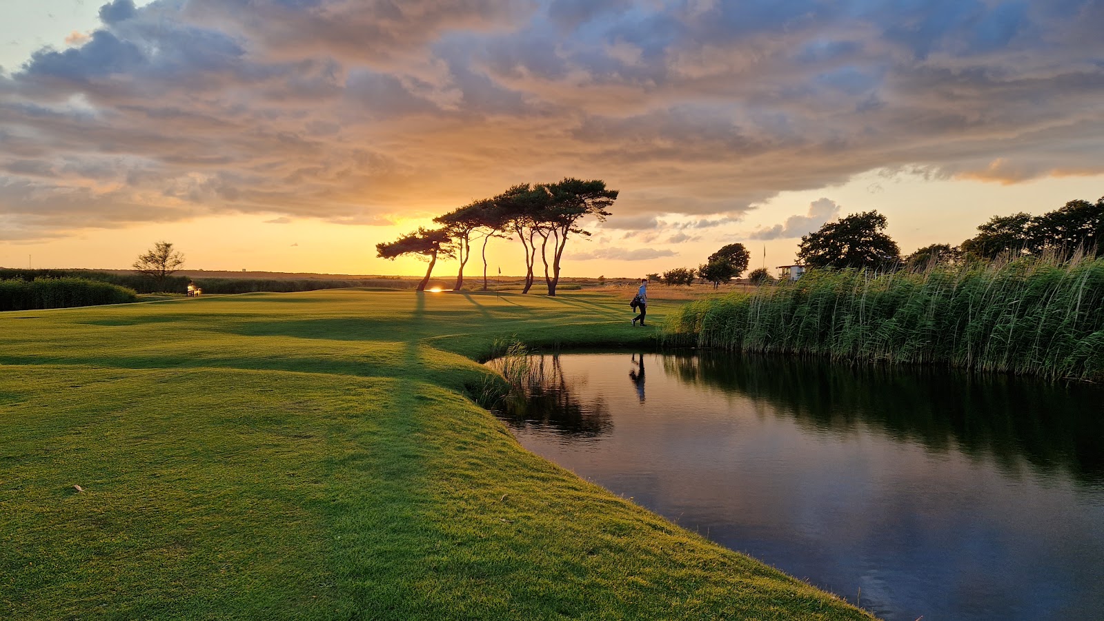 Ljunghusen Golf Club, links fairways winding through pine and heather on the Falsterbo peninsula, Sweden