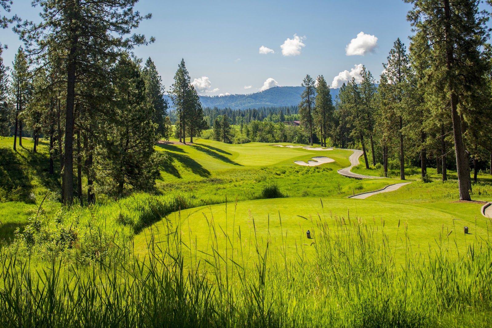 Circling Raven Golf Club, forest and meadow golf at the Coeur d'Alene Casino Resort in Worley, Idaho