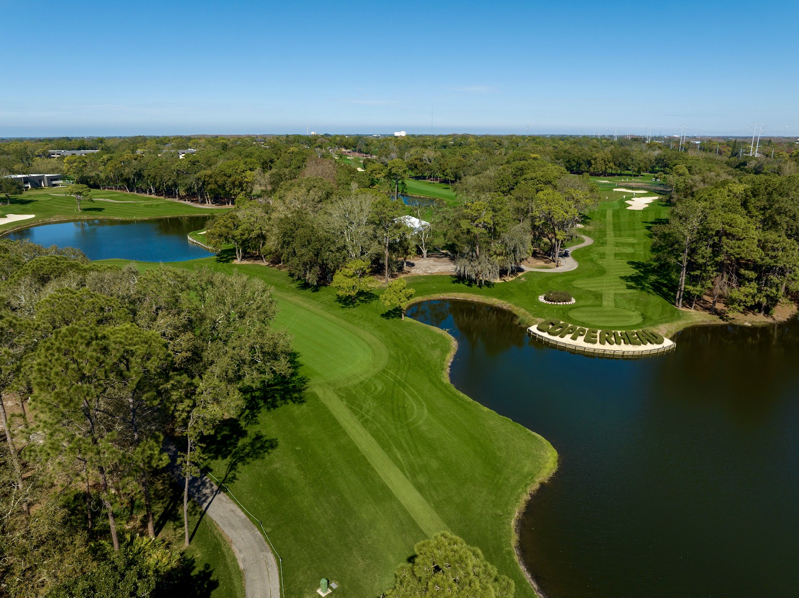 Innisbrook Copperhead Course, the rolling tree lined fairways of the Larry Packard design in Palm Harbor, Florida
