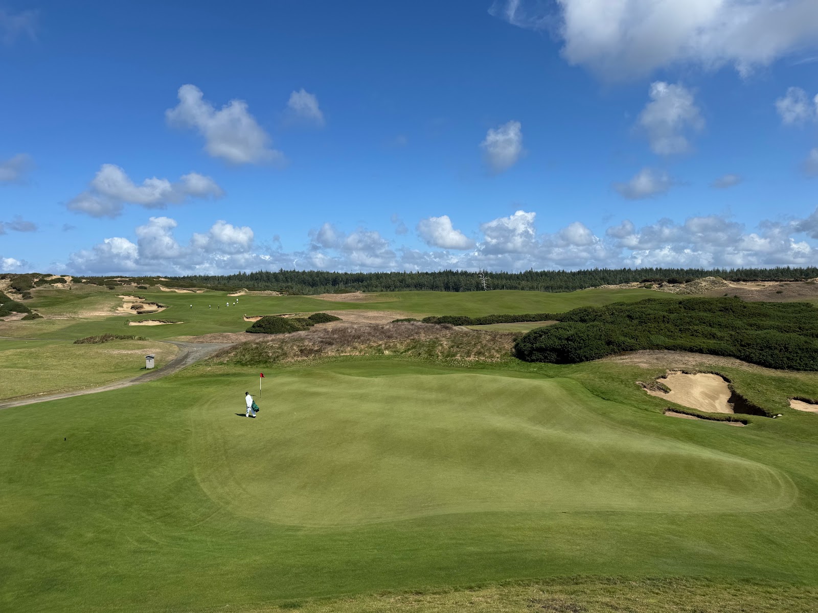 Old Macdonald at Bandon Dunes Golf Resort, wide fescue fairways and vast greens rolling through open Pacific dunes on the Oregon coast
