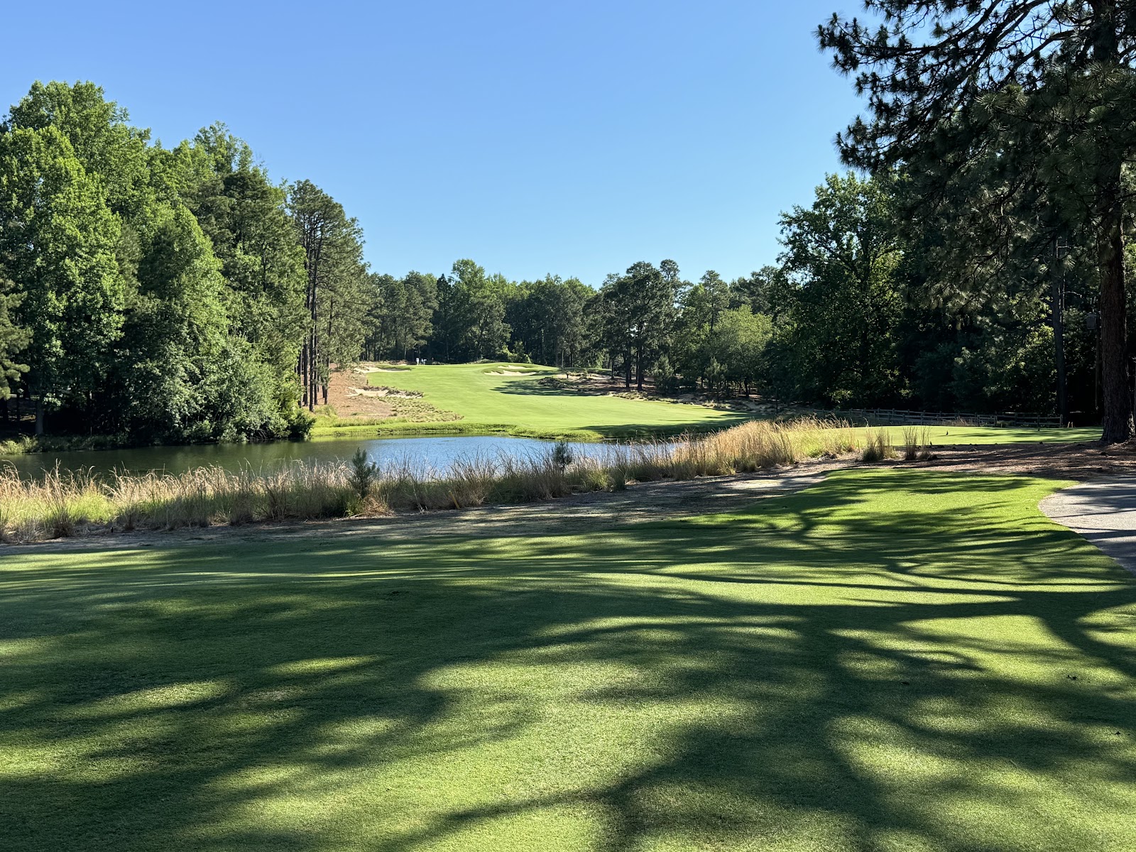 Pine Needles Lodge and Golf Club, a crowned green among longleaf pines in the North Carolina Sandhills
