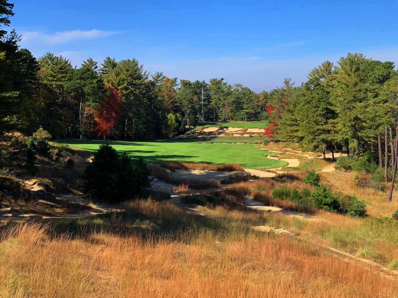 Pine Valley Golf Club, a fairway carved through the sandy pine barrens of New Jersey