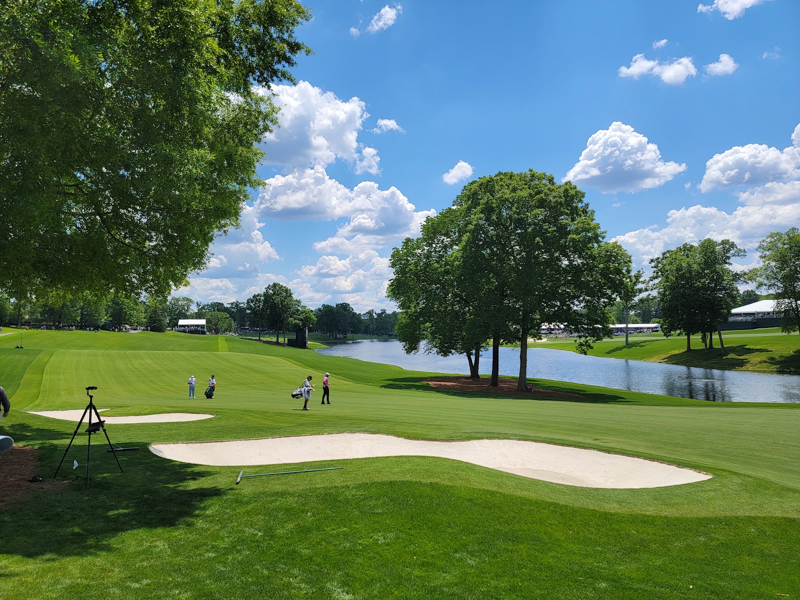 Quail Hollow Club, tree lined championship fairway in Charlotte, North Carolina