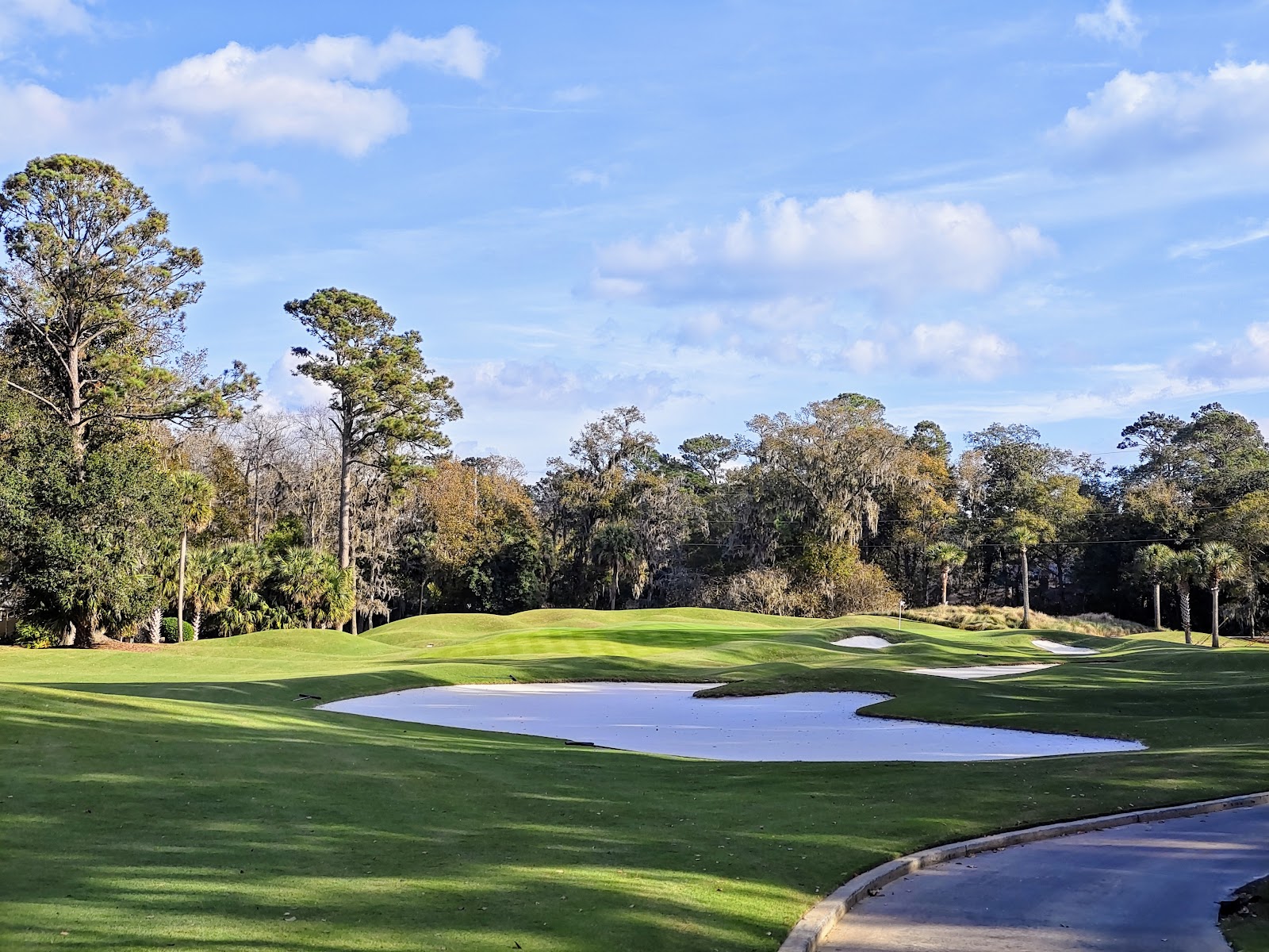 Heron Point by Pete Dye fairways among Lowcountry pines and water at The Sea Pines Resort on Hilton Head Island
