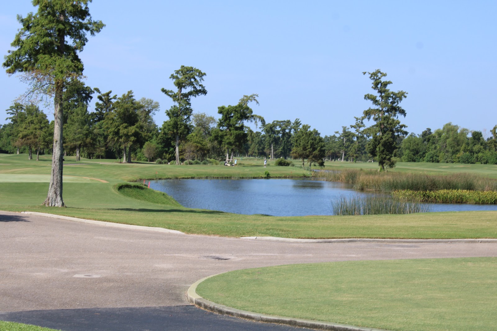 TPC Louisiana, Pete Dye fairways through cypress and water at Avondale near New Orleans, Louisiana