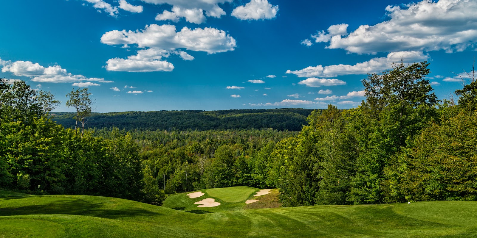Treetops Resort Smith Signature course, fairway falling through northern Michigan ridgelines and forest