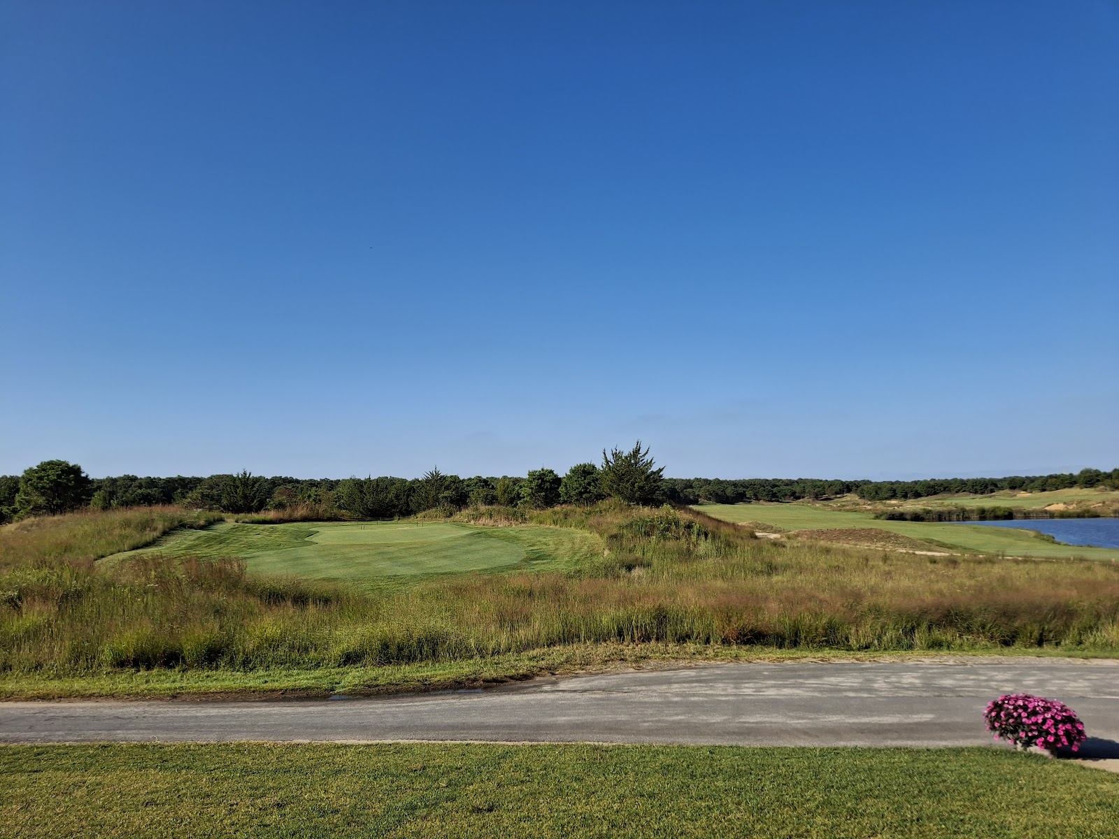 Twisted Dune Golf Club, rolling man made dunes and fescue near Atlantic City in Egg Harbor Township, New Jersey