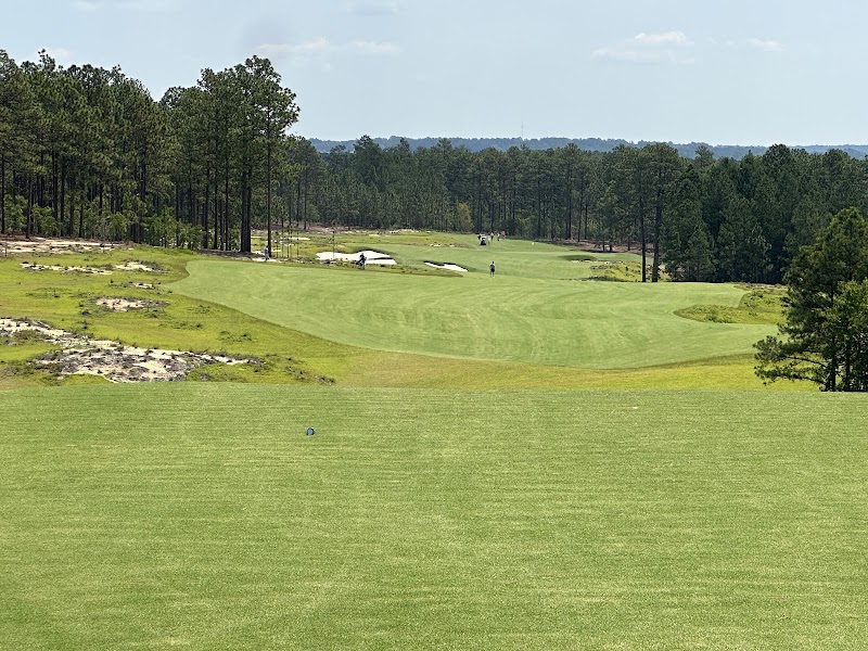 Pinehurst No. 10 dunes and wiregrass, Tom Doak 2024 course