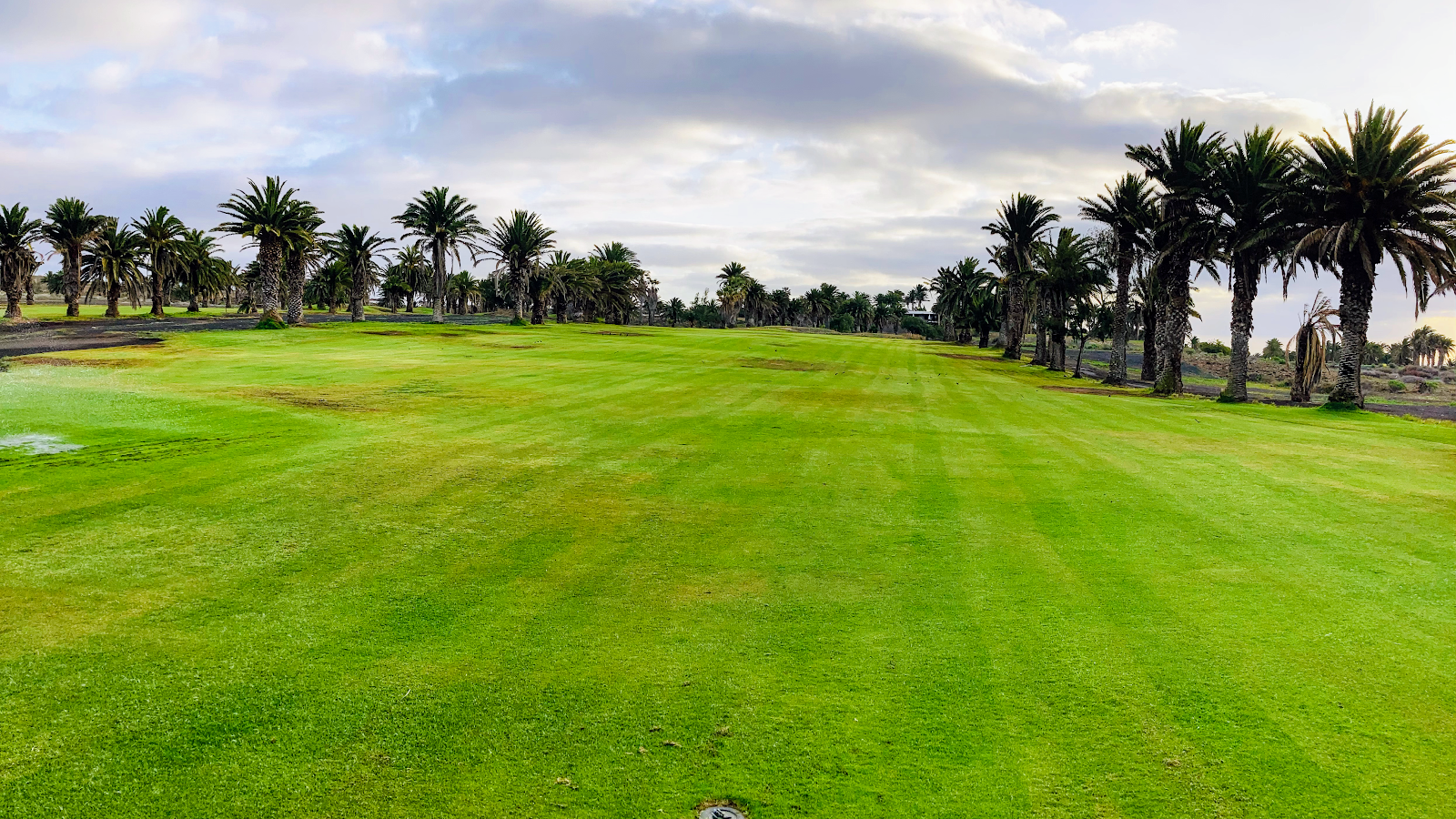 Costa Teguise Golf, fairways lined with palms and black volcanic ground on the east coast of Lanzarote
