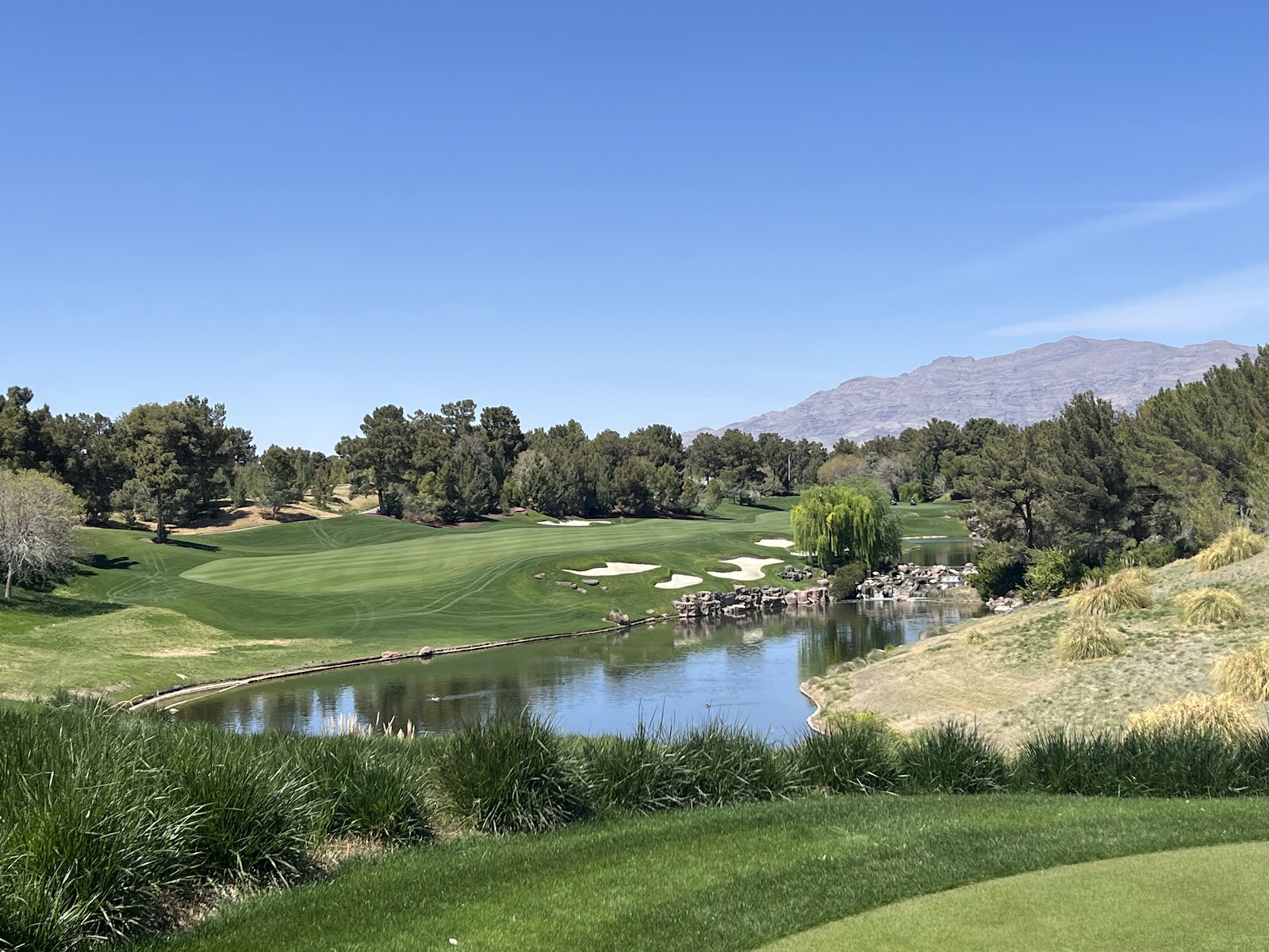 Shadow Creek Golf Course, lush green fairways framed by planted pines in the desert north of Las Vegas, Nevada