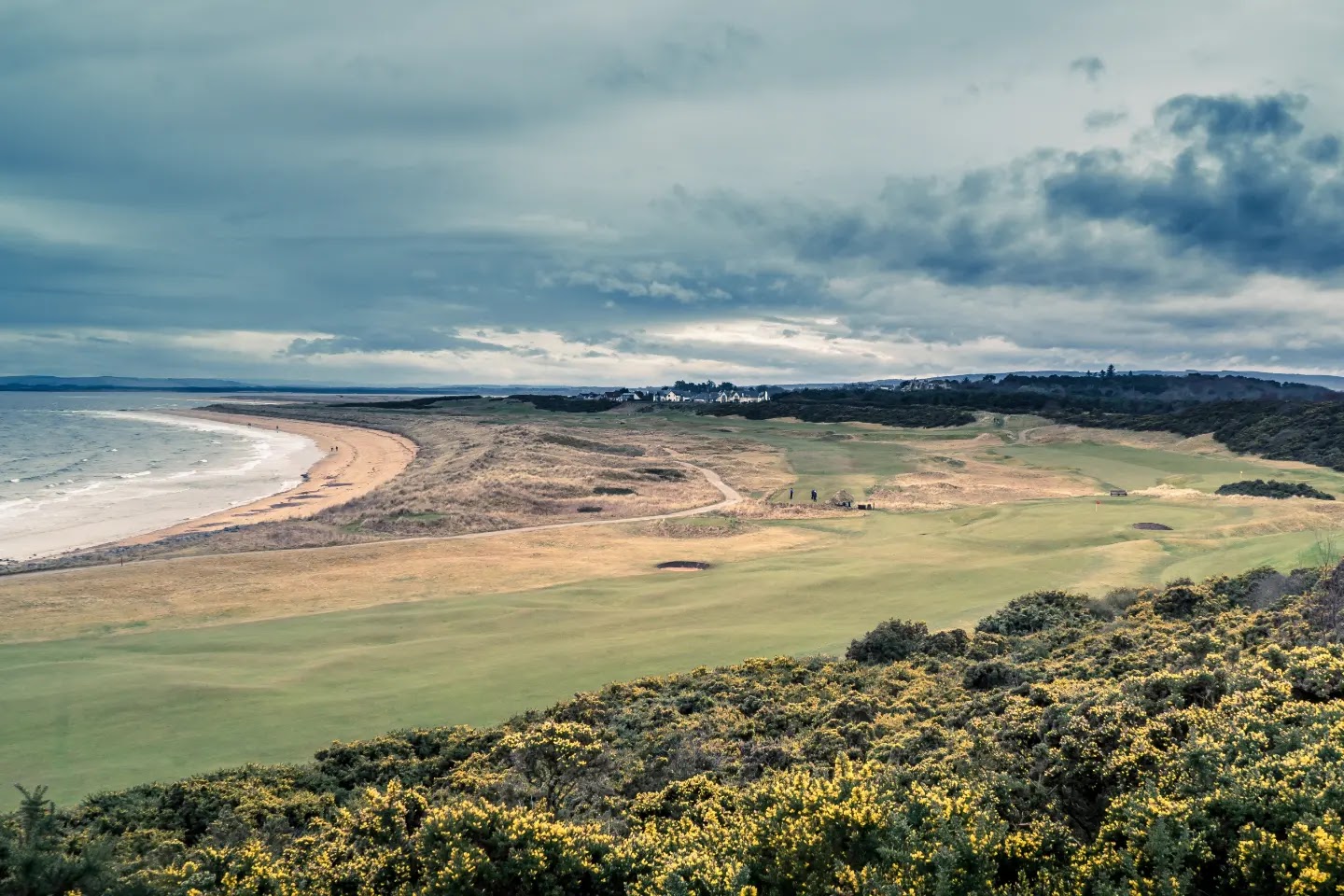 A traditional Scottish links fairway at Royal Dornoch, the kind of walking course where buggy rules apply